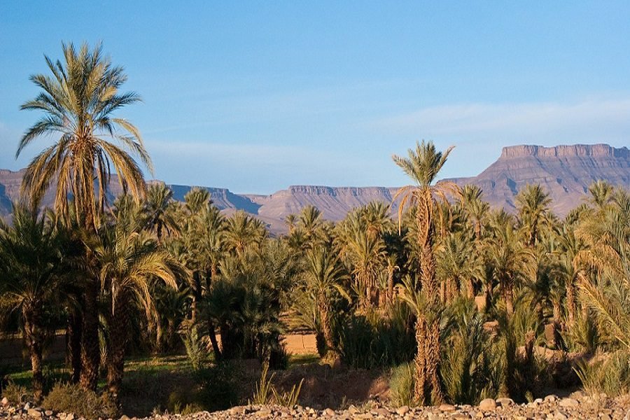 10 trip From Marrakech to desert
