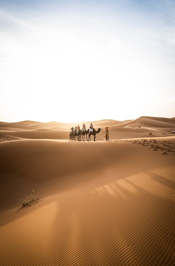 6 days tour from Casablanca to desert