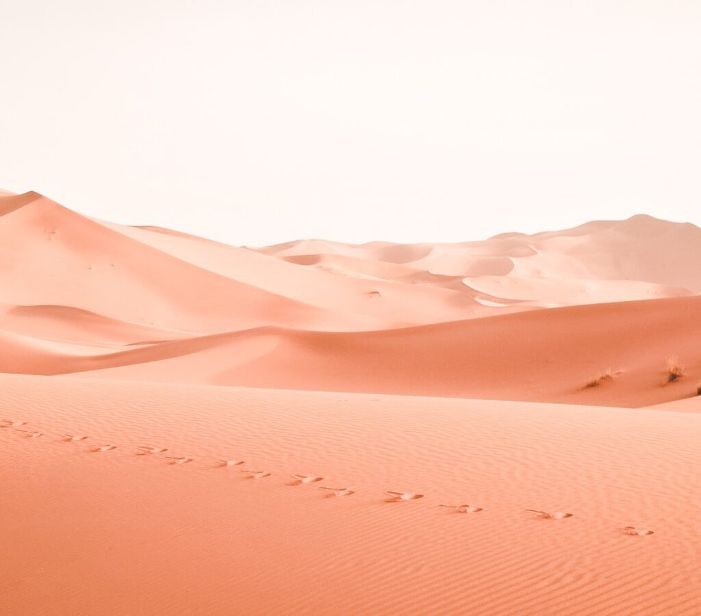 9-Day Tour from Casablanca: Imperial Cities & Desert Adventure