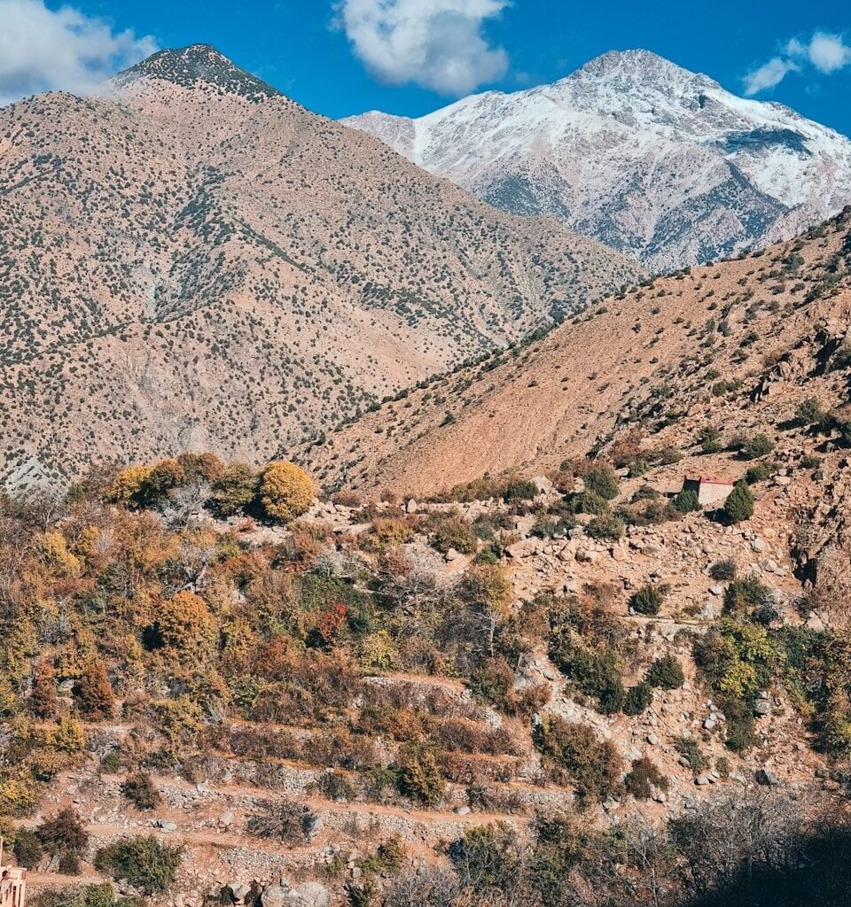 a view of a mountain range with a house in the foreground