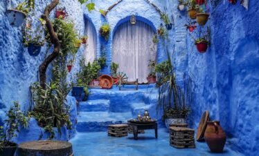 a blue alley with potted plants and a bench