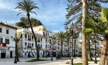 a large white building surrounded by palm trees