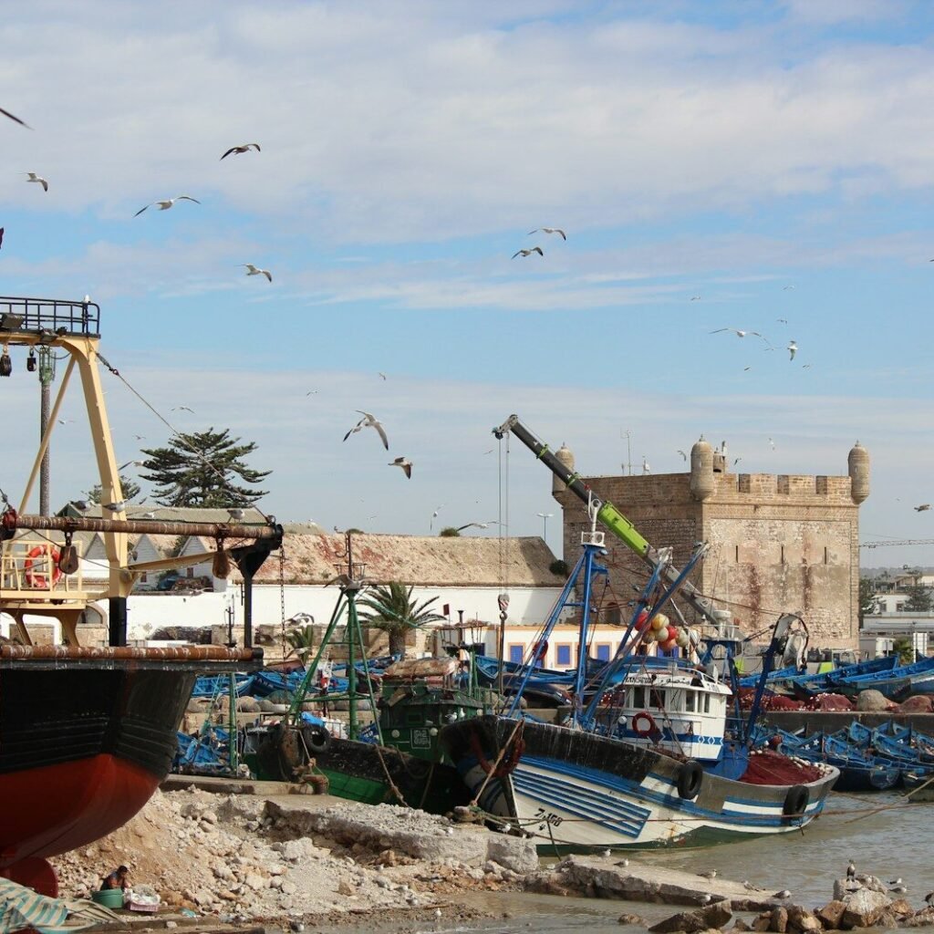 boats in the water