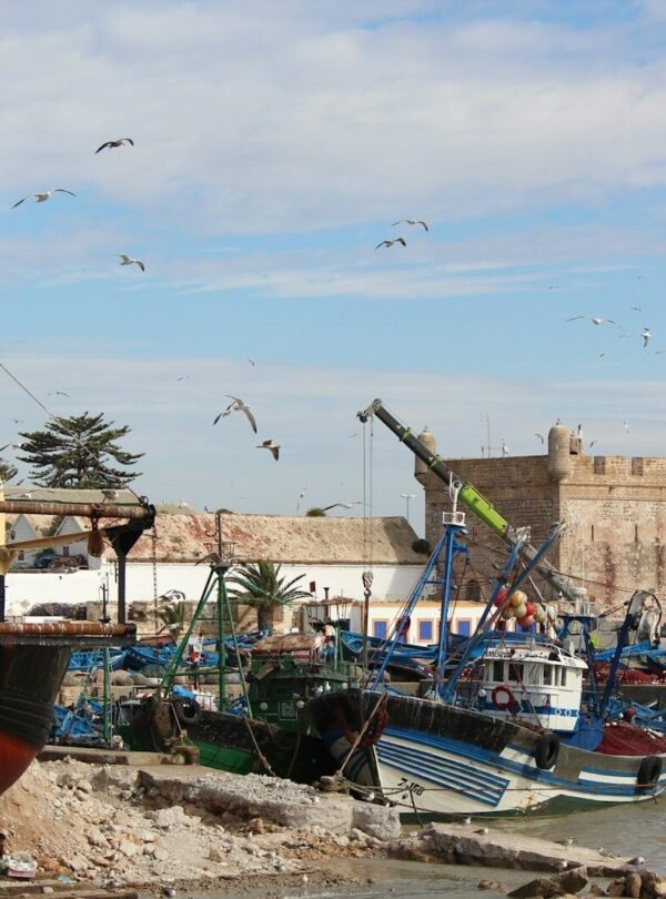 boats in the water