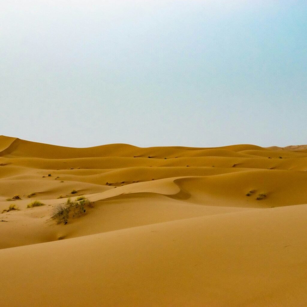 brown sand under blue sky during daytime