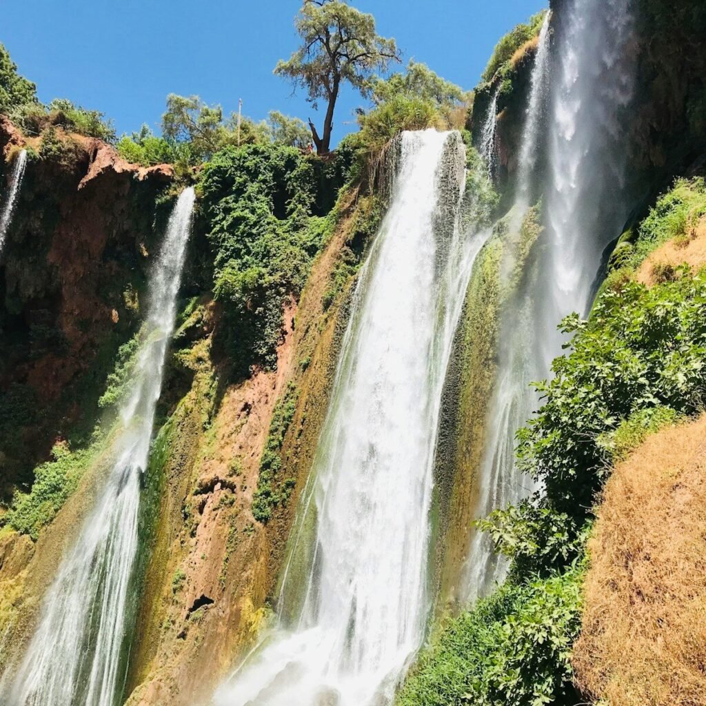 waterfalls in brown and green trees under blue sky during daytime