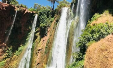 waterfalls in brown and green trees under blue sky during daytime