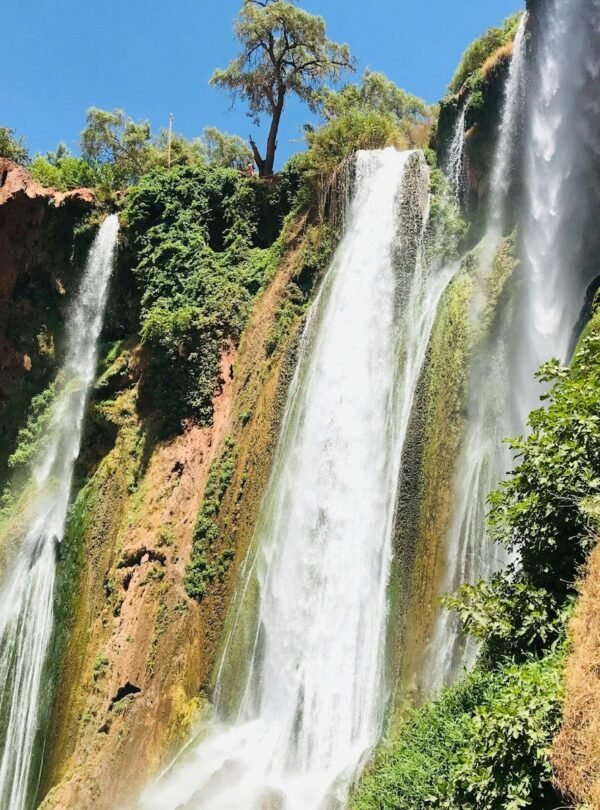 waterfalls in brown and green trees under blue sky during daytime