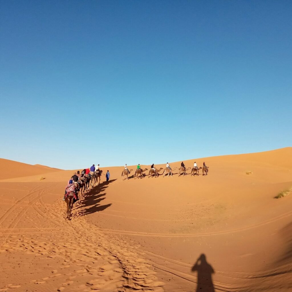 people riding camel in desert