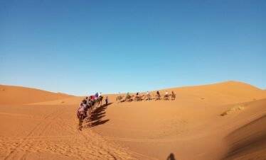people riding camel in desert