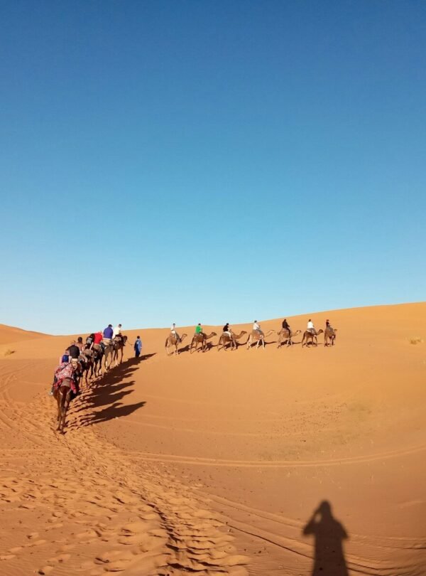 people riding camel in desert