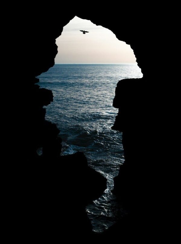 a bird flying over the ocean from a cave