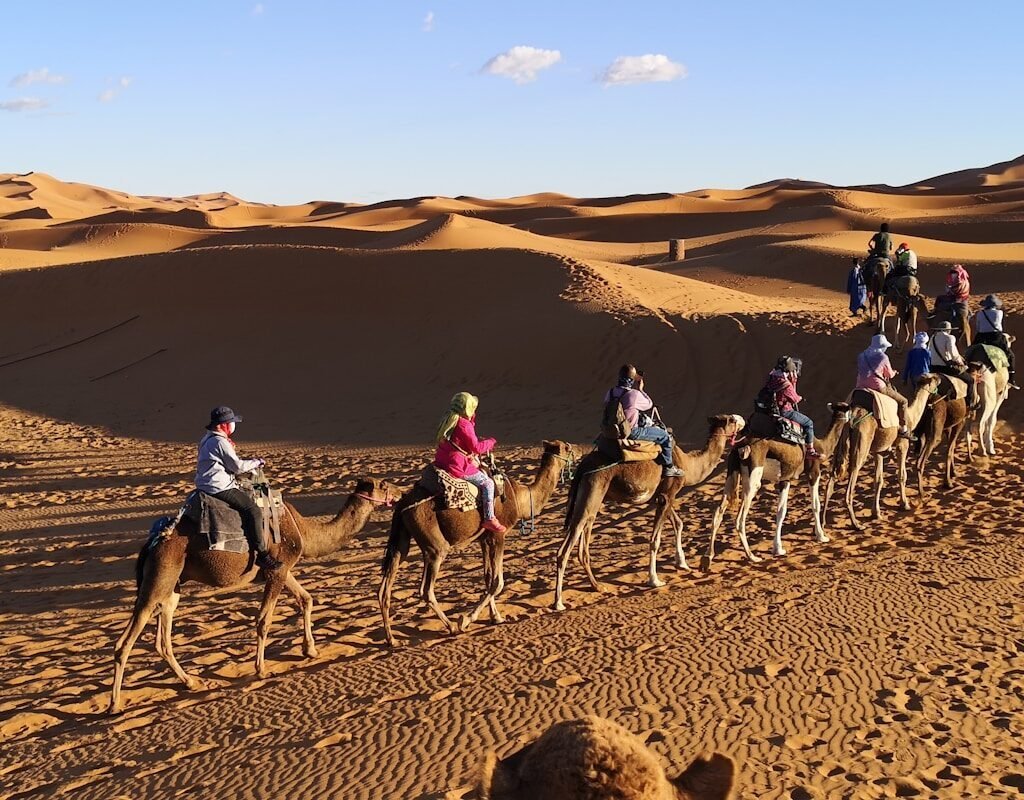 people riding camels on desert during daytime