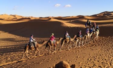 people riding camels on desert during daytime