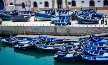 blue wooden boat lot