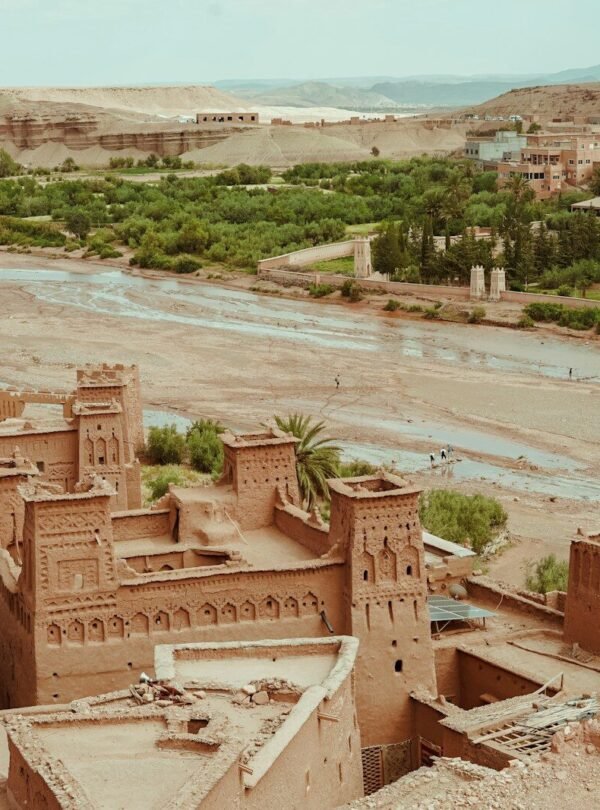 bird's eye view of town