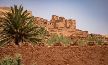 A desert landscape with a palm tree in the foreground