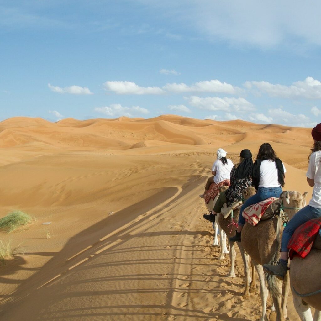 A group of people riding on the backs of camels