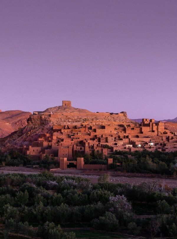 green trees and brown mountains during daytime