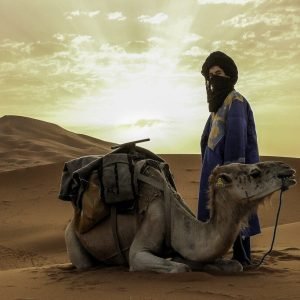 Merzouga Warrior